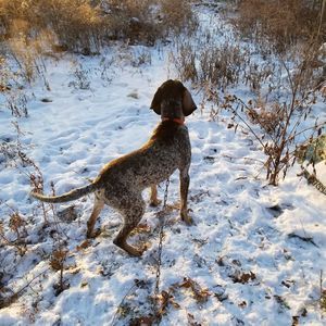 Meet your Posher, Sam